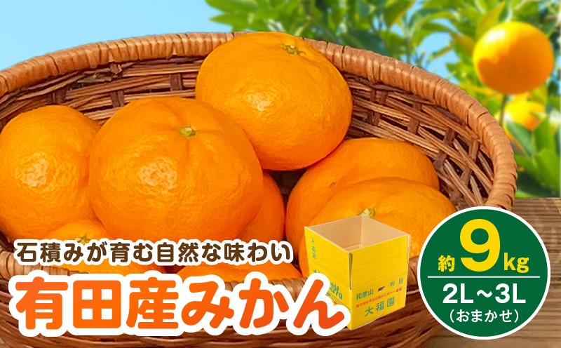 
            BT6016_和歌山県有田産 みかん 9kg 3L～2Lサイズ（おまかせ）
          