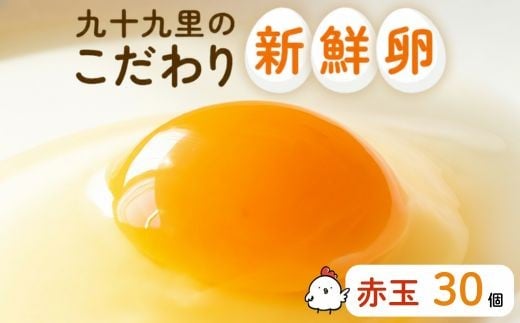 九十九里ファームこだわりたまご贈答用30個～あおい海・みどりの里～《赤玉》 30個 たまご 卵 玉子 タマゴ 卵かけご飯 新鮮 旨み 甘み 贈答用 贈答 ギフト 贈り物 千葉県 匝瑳市