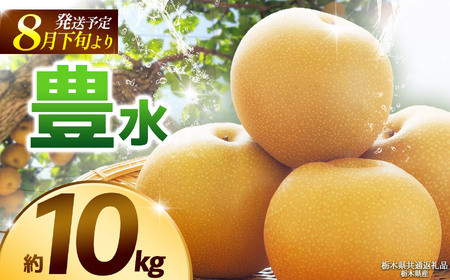 【栃木県共通返礼品】【2026年8月先行予約】豊水 約10kg |豊水 梨 なし ナシ 新品種 先行予約 大粒 新鮮 甘い 美味しい 果物 くだもの フルーツ ふるーつ 共通返礼品 フルーツ デザート 栃木県 那珂川町