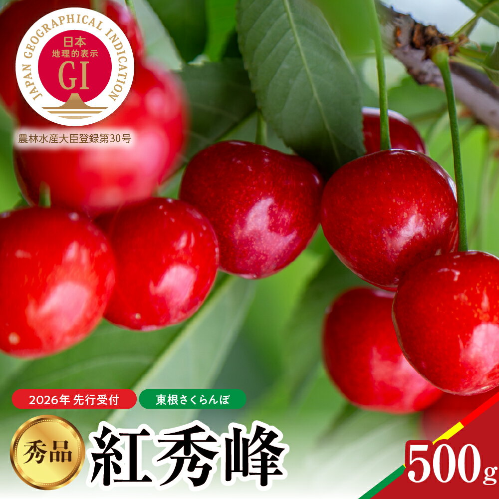 【ふるさと納税】【2026年産 先行予約】 GI東根 さくらんぼ 紅秀峰 秀品 500g / サクランボ チェリー フルーツ 果物 くだもの 果樹 果物 期間限定 大容量 冷蔵配送 お取り寄せ グルメ ご当地 特産 産地直送 山形県 東根市