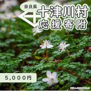 【返礼品なし】十津川村応援寄付　5,000円