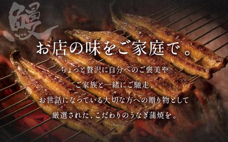 【12ヶ月定期便】九州産 手焼き炭火 うなぎ蒲焼 2尾（1尾あたり120～149g） 合計24尾 たれ 山椒 鰻 蒲焼き 冷凍 国産 送料無料 鹿児島、宮崎、熊本等産うなぎ原料使用
