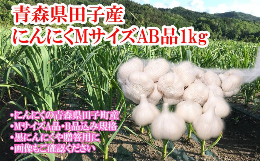 
田子産にんにく約1kg（MサイズA～B品）
