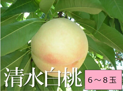 【ふるさと納税】　桃　清水白桃（6〜8個・約2.0kg）化粧箱入り　FF−34