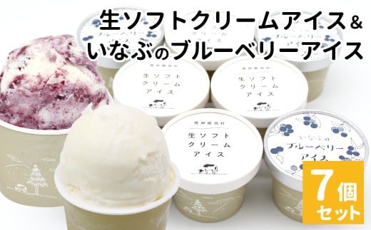 素材にとことんこだわったアイスセット！生ソフトクリーム＆稲武のブルーベリーアイス (80ml)×7個セット 5000円