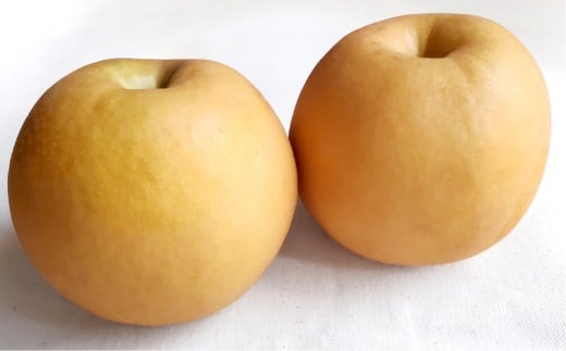 あたご梨 2玉 約1.8kg 【2025年11月下旬～12月下旬迄順次発送予定】 梨 なし ナシ 果物 フルーツ 岡山県 倉敷市