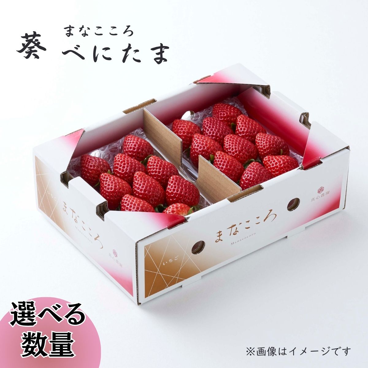 【ふるさと納税】べにたま まなこころ 葵 1箱(260g×2パック) or 2箱(260g×4パック) | べにたま ベニタマ イチゴ 苺 いちご あおい 葵 箱 2P 真心農園 果物 フルーツ 自然 甘い 美味しい ジューシー フレッシュ ビタミン おいしい おすすめ 贈り物 ギフト 埼玉県 東松山市