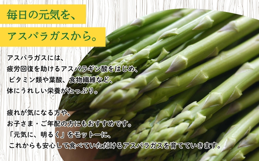 No.0793 【農家直送】鮮度抜群！ アスパラガス 約1kg【2026年発送】