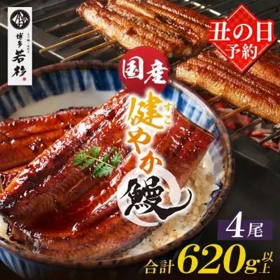 Z61-68R01 寄附額改定↓↓ 丑の日7/25までにお届け 健やか鰻 国産うなぎ蒲焼（無頭）4尾（計620g以上） うなぎ 丑の日
