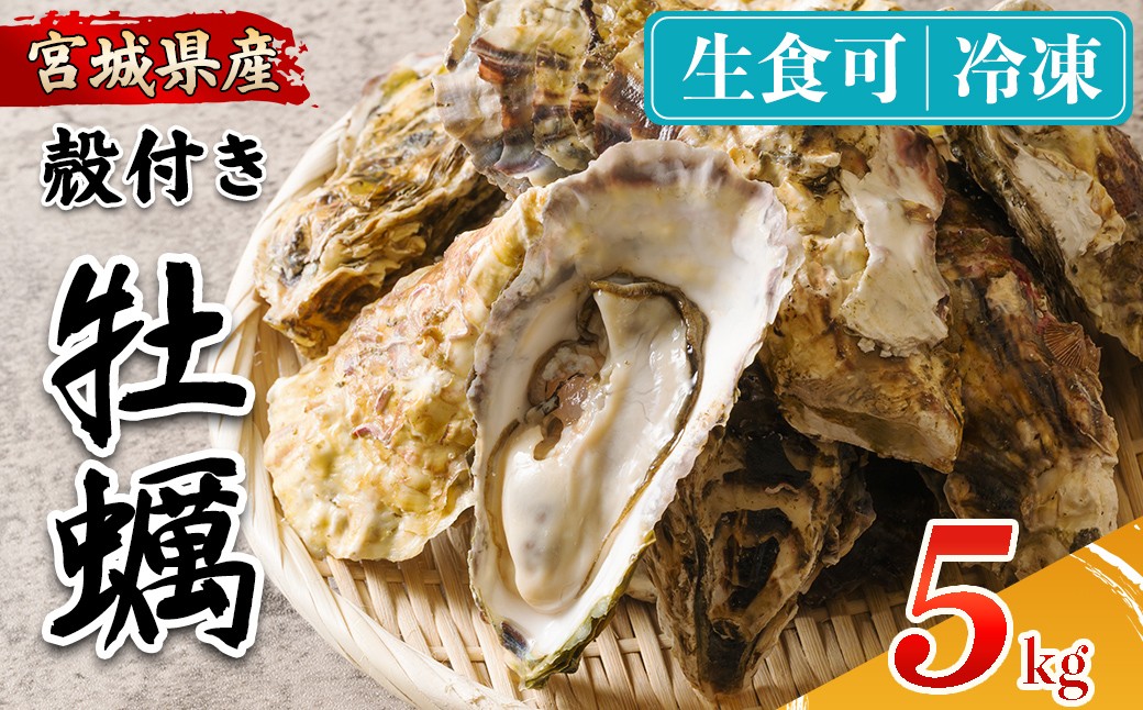 
                  殻付き牡蠣（生食用）冷凍 5kg 生牡蠣 宮城県産 牡蛎 牡蠣 カキ かき 生食 オイスター カキフライ 牡蠣鍋 海鮮 国産 魚貝類 バーベキュー BBQ 【カタクチ商店株式会社】ta737
                