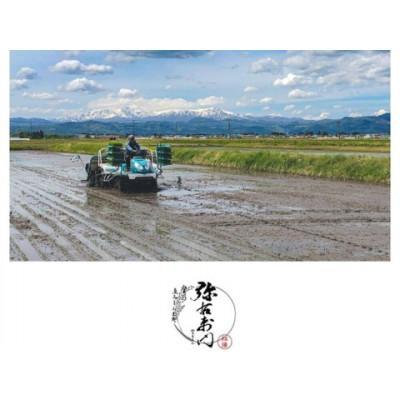 ふるさと納税 喜多方市 雪蔵銀ぴか米コシヒカリ　精米　3kg