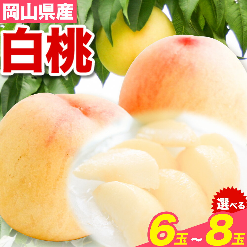 【ふるさと納税】【先行予約】白桃 岡山 6玉 7玉 8玉 有限会社ホーティカルチャー神島《2026年7月中旬-8月中旬頃出荷》岡山県 浅口市 桃 もも フルーツ 旬 果物 国産 岡山県産 送料無料 冷蔵【配送不可地域あり】