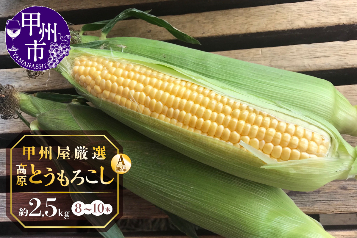 
            甲州屋厳選 高原とうもろこし A級品 約2.5kg（8～10本）【2025年発送】B-141
          