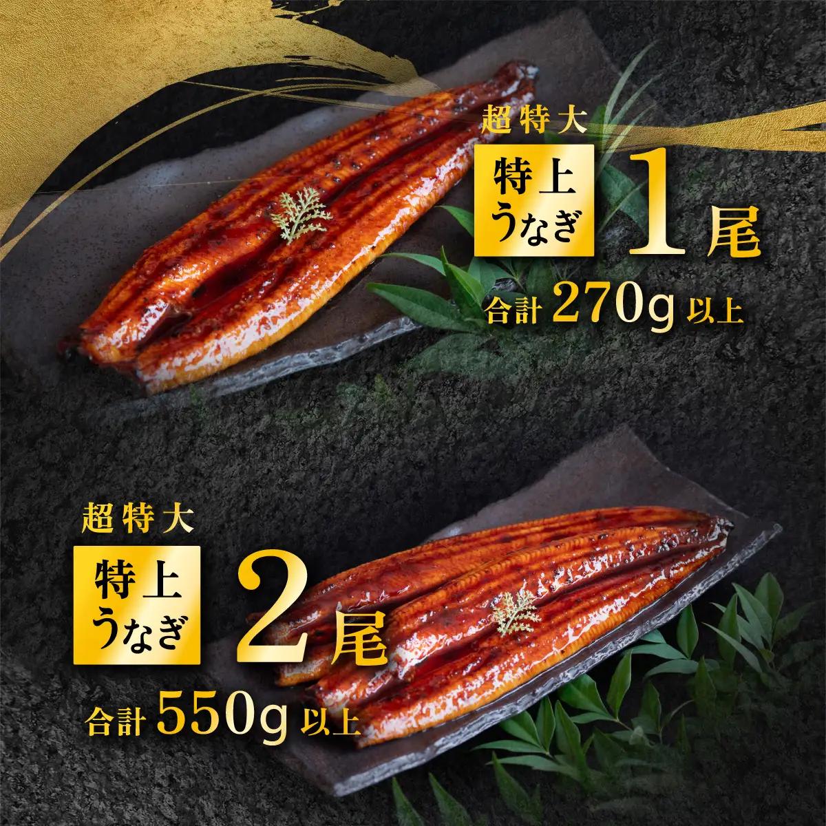 うなぎ 国産 蒲焼き 2尾 550g 特上ウナギ 8月発送 