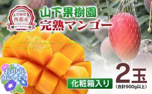 【お中元ギフト】【マンゴー専門 山下果樹園】完熟マンゴー 2玉 900g以上 アップルマンゴー  宮崎県西都産 生産者直送＜1.8-17＞宮崎マンゴー