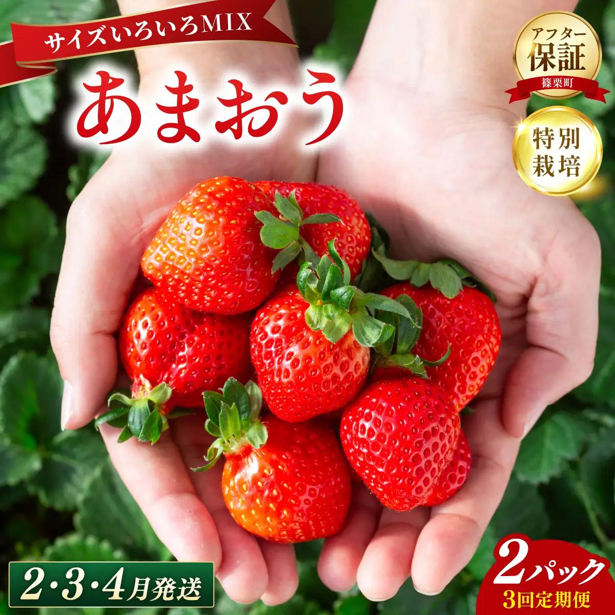 いちご 福岡県産 特別栽培 あまおう サイズいろいろMIX 約570g（約285g×2パック）【3回定期便（2～4月発送）】