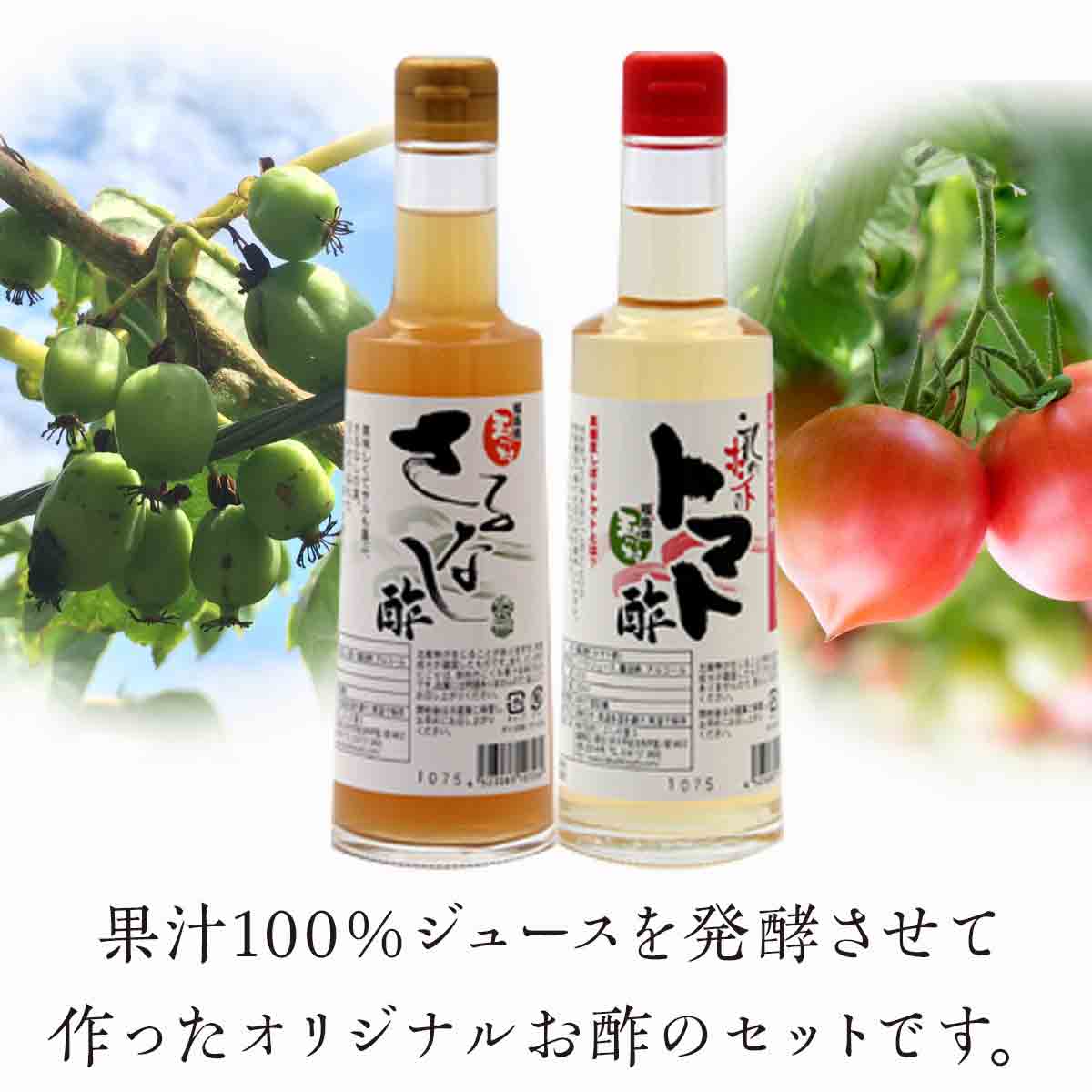 【ふるさと納税】 FT18-176 玉川村野菜のお酢セット