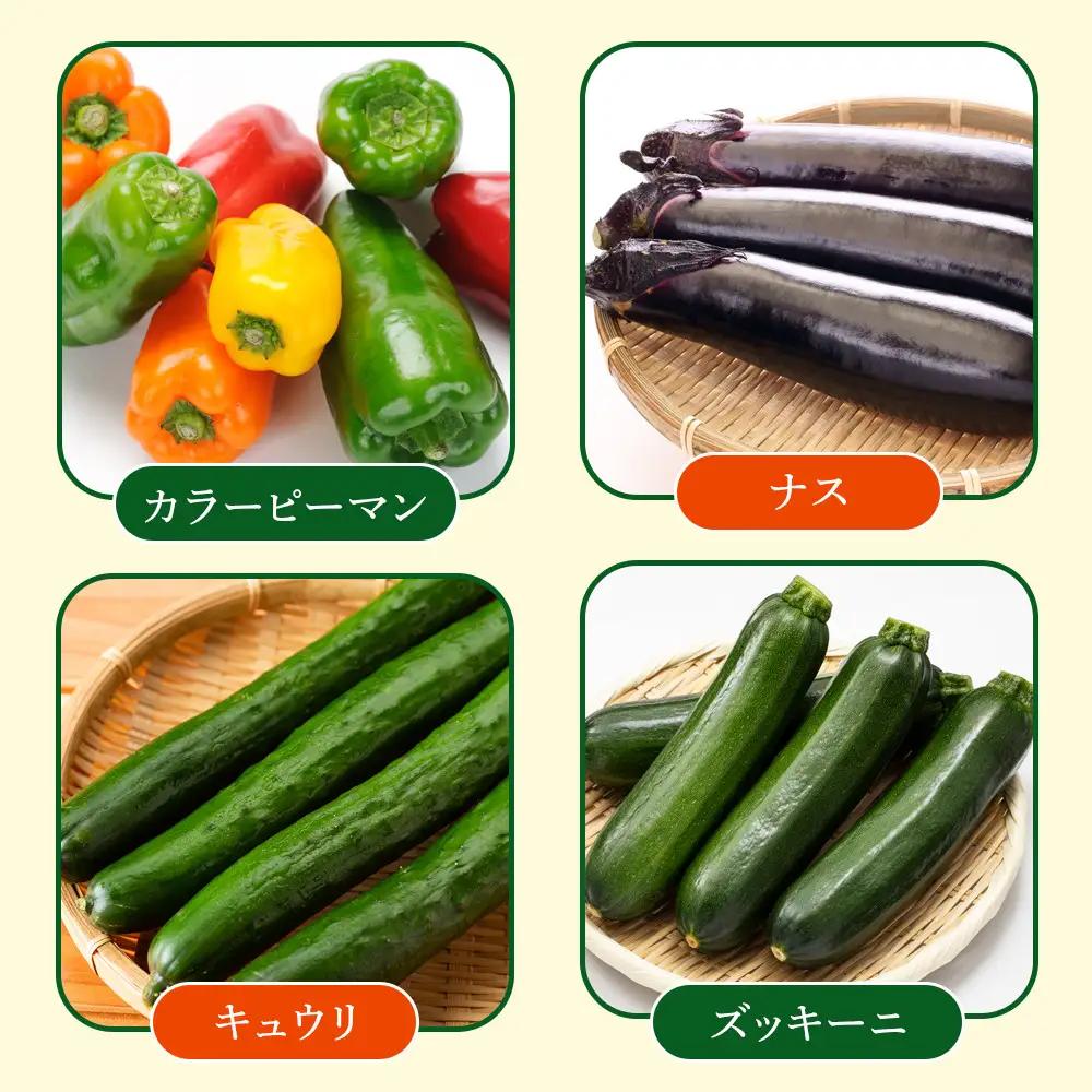 【先行予約】旭川のおまかせ野菜セット(トマト2kg＋3種以上)(2026年7月下旬発送開始) 野菜セット _05910