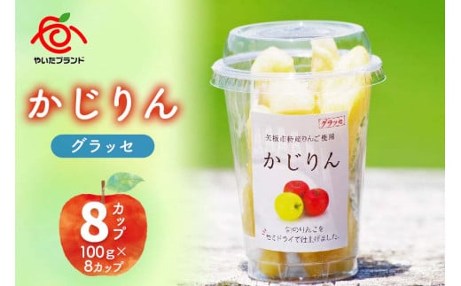【定期便3回】かじりんグラッセ 8個入りセット｜セミドライフルーツ 半生 アップル りんご 林檎 リンゴ 果実 スイーツ 産地直送 (毎月お届け）
