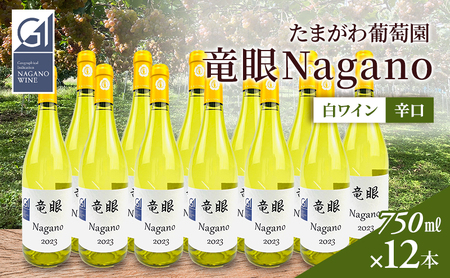 ワイン　竜眼Nagano　【GI長野】認定　12本セット 長野市 白ワイン