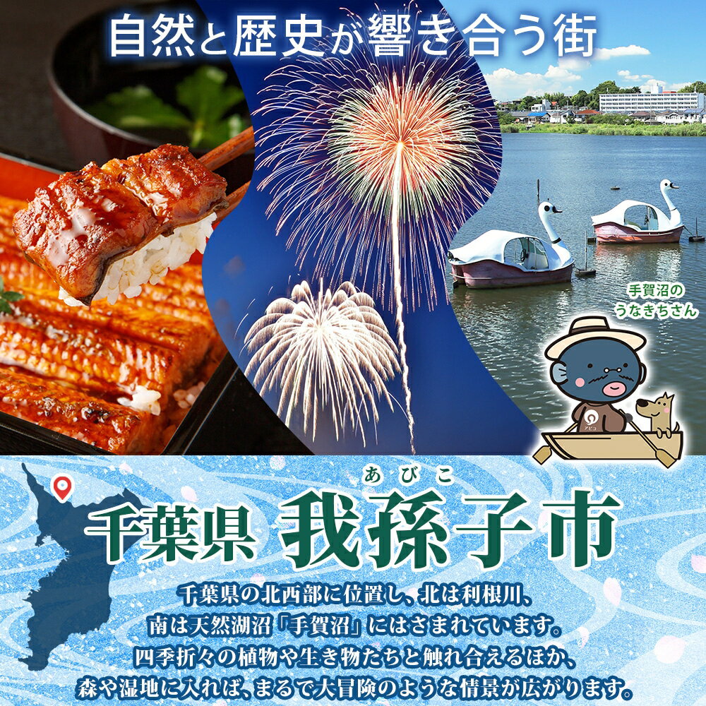 【ふるさと納税】【返礼品なし】我孫子市ふるさと納税寄附金