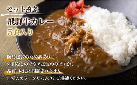  訳あり 飛騨牛カレー (5袋) ビーフカレー 飛騨牛 カレー  レトルトカレー  訳あり 簡易包装  ふるさと清見 訳あり TR3295