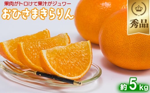 今村農園のおひさまきらりん 約5kg【秀品】 甘い オレンジ みかん ミカン 清美 5kg 12月発送 1月発送 先行予約 贈答 柑橘類 フルーツ ＜107-025_7＞