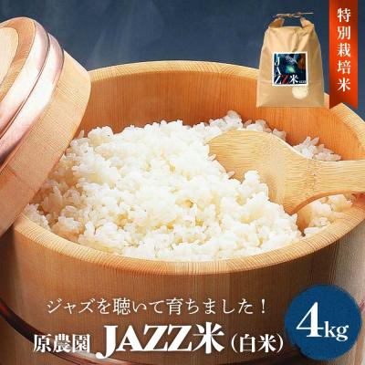 ふるさと納税 玖珠町 【令和8年産】原農園 JAZZ米 白米 4kg ひとめぼれ 米 お米