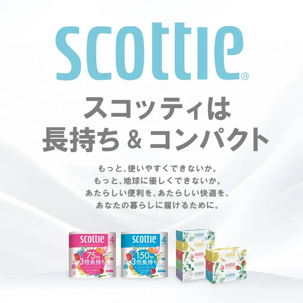 トイレットペーパー ダブル 16ロール ＋ ティッシュ 16箱 セット スコッティ ティッシュ トイレット