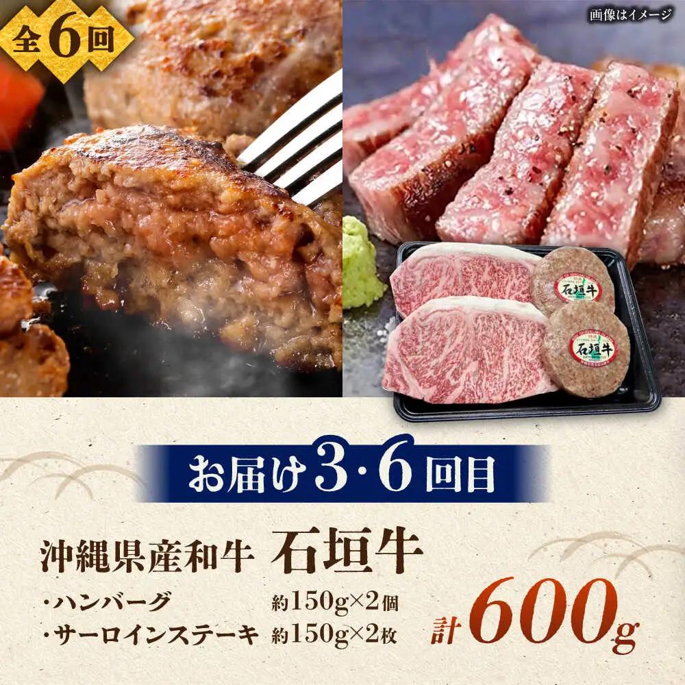 【全6回定期便】沖縄ブランド牛を堪能！贅沢お肉定期便【沖縄市】牛肉 和牛 サーロインステーキ 焼肉 赤身 沖縄市 / 肉のサブロー / お肉屋本店[BCZZ028]