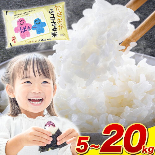【ふるさと納税】【先行予約】令和7年産 5kg 〜 20kg ふるさと米 備中笠岡 人気品種をお届け！ 国産 ヒノヒカリ にこまる きぬむすめ お米 ブランド米 おにぎり 弁当 単一原料米 お取り寄せ 送料無料 岡山県産 内容量が選べる