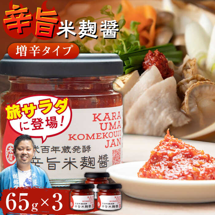 【ふるさと納税】辛旨 米麹 醤シリーズ 〈増辛タイプ〉（65g×3）【有限会社 木屋食品工業】[ZAD021]