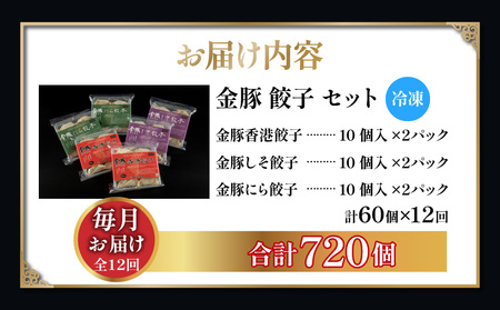 【定期便 全12回】金豚餃子セット（香港餃子・しそ餃子・にら餃子　1パック10個入×各2パック） ぎょうざ 中華 餃子