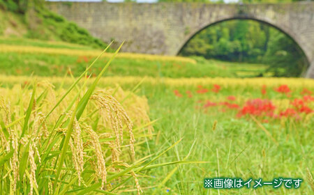 【全12回定期便】令和5年産  通潤橋 水ものがたり 棚田米 10kg (2kg×5袋) お米 白糸台地 熊本産 特別栽培米 定期便 熊本産特別栽培米 山都町産特別栽培米 九州産特別栽培米 特別栽培米