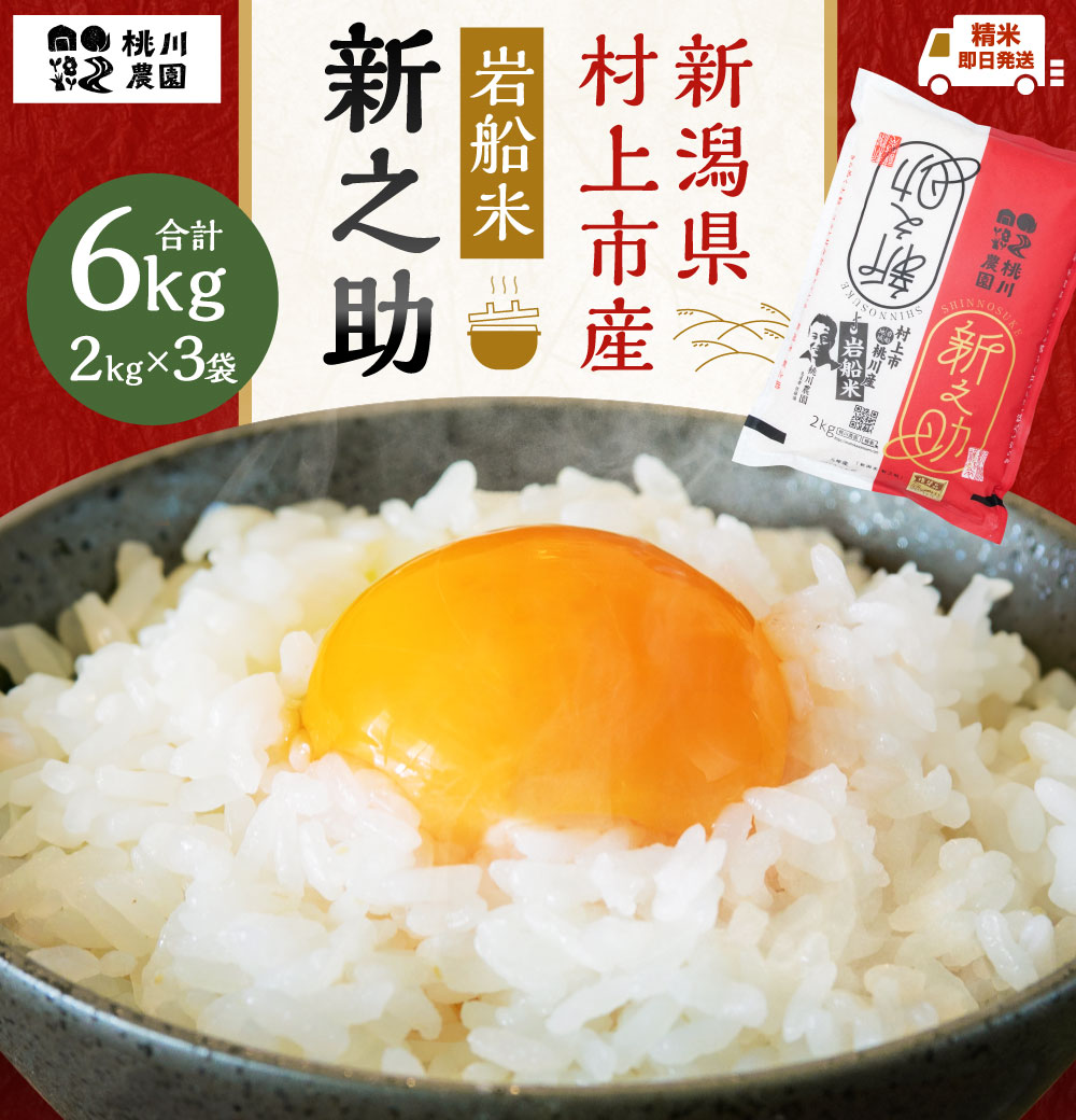 【精米即日発送】【令和7年産米】新潟県村上市産  新之助 6kg　A4100