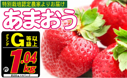 
あまおう G以上 約1.04kg 約260g×4パック ※配送不可：北海道・東北・沖縄・離島
