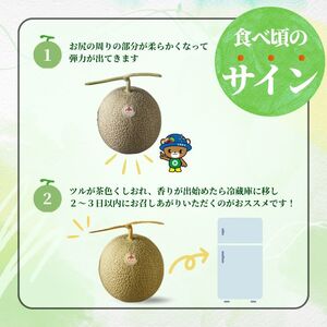 【2026年7月中旬から発送】とままえメロン 2玉 計3.2kg前後 大玉サイズ 北海道産 先行 予約 受付 赤肉 甘い 糖度14度 旬 産地直送 めろん フルーツ 果物 デザート 北海道 苫前町 と