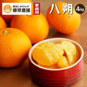 八朔｜和歌山県海南市から産地直送でお届け｜4kg｜ご家庭用【2026年4月より発送開始】