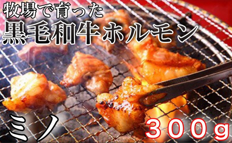 
牧草で育った黒毛和牛ホルモン（ミノ）
