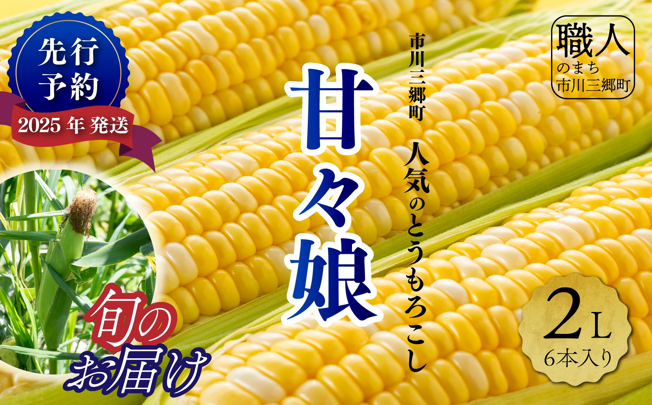 
            【先行予約】甘々娘　とうもろこし　２Lサイズ　6本入り　【2025年6月上旬から発送】　渡邊農園[5839-1996]
          