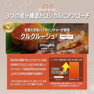 サプリ KIGASURE リボーン(Re;BONE) 高吸収 飲み会サプリ クルクミン入り 30日分(60粒) 健康 飲み会 クルクミン ウコン 酢酸菌酵素 亜鉛 酵母 ビタミン 綾瀬市 神奈川県