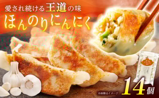 【1パック】餃子屋ヒロの ほんのりにんにく餃子【餃子屋ヒロ】開成町 餃子 点心 惣菜 冷凍 [BDAS005-1]