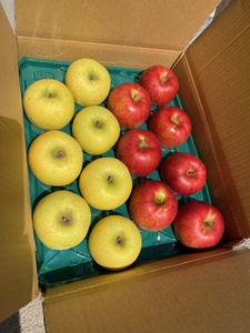 【先行受付】サンふじ・シナノゴールド詰め合わせ　3kg