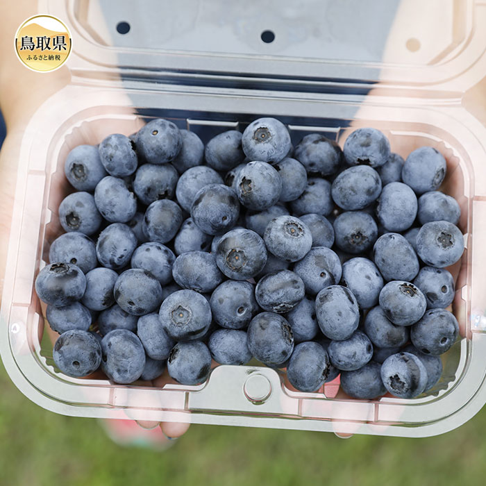 【ふるさと納税】だいせんのめぐみ摘みたてブルーベリー【期間・数量限定】 鳥取県 おすすめ 大山 だいせん 完熟 完熟ブルーベリー 250g×4_T2600001