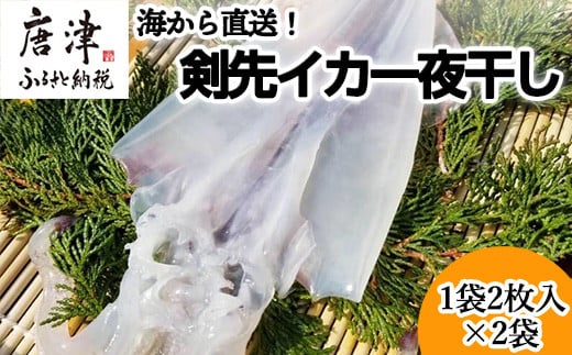 
            『先行予約』【7月より順次発送】海から直送！剣先イカ一夜干し1袋2枚入り(200ｇ)×2袋 いか おつまみ 干物 酒の肴
          
