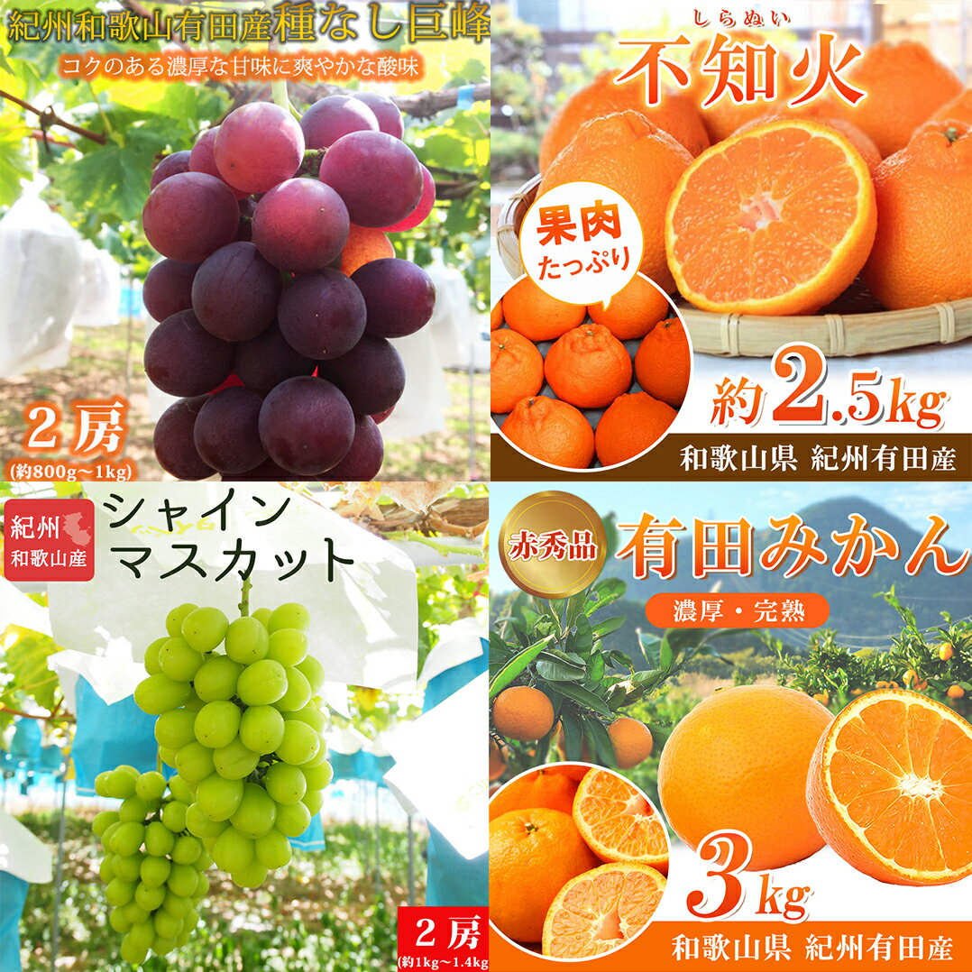 【ふるさと納税】 【全4回】 紀州和歌山産旬のフルーツセット (巨峰・シャイン・みかん・不知火) / 定期便 フルーツ フルーツ定期便 おすすめ 和歌山 果物 くだもの 葡萄 巨峰 ぶどう シャインマスカット マスカット みかん ミカン 有田みかん 柑橘 でこぽん
