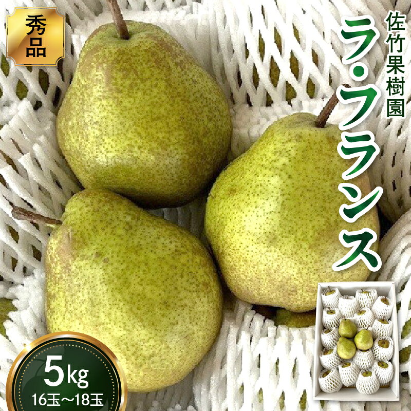 【ふるさと納税】 西洋梨（ラフランス）5kg　0041-2607