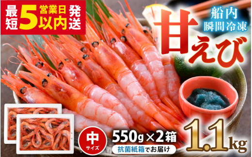 甘えび (中サイズ) 約1.1kg (550g×2箱)  1箱：約40尾前後 天然・鮮度抜群！  国産・無添加 「共栄丸」直送船内瞬間冷凍 海老 ホッコクアカエビ 冷凍エビ 甘エビ えび エビ アマエビ 殻付きエビ 甘海老 生食 刺身 冷凍 海鮮 魚介類 魚貝類 産地直送 国産 三国 人気 [A-23109]