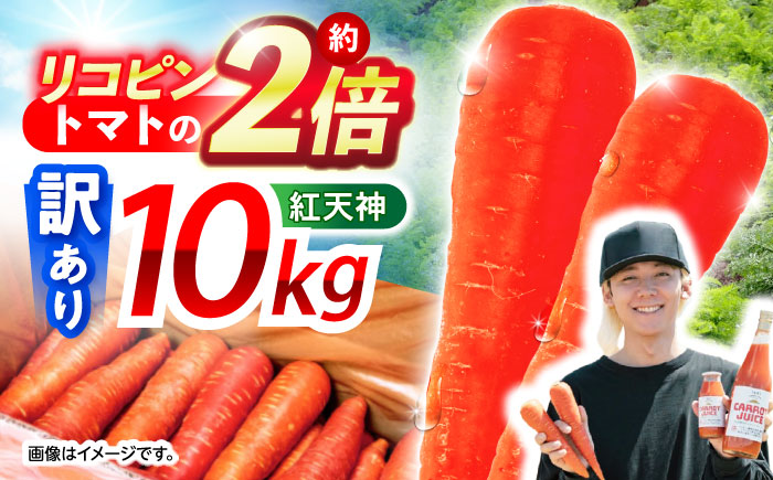 【訳あり】 【甘みと栄養たっぷり！】 真っ赤な人参 「紅天神」 10kg / にんじん ニンジン 人参 やさい 野菜 訳あり 訳アリ わけあり ワケアリ / 諫早市 / 滝商店株式会社 [AHCU006]