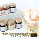 【ふるさと納税】軽井沢 HACHI HIGE HONEY テイスティングギフト　6個入　【 調味料 はちみつ 甘味 蜂蜜ティスティングセット 花の風味 自然濃縮 濃厚 】